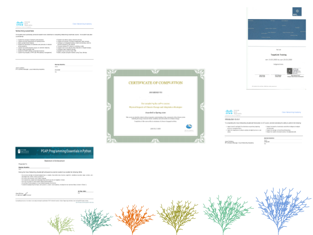 Conferinţe ARXDE<sup>®</sup> -- 1